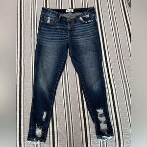 BKE Payton Ankle Skinny Stretch Jean